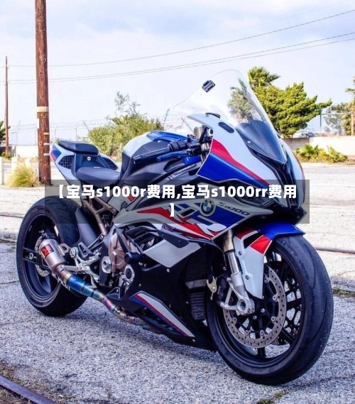 【宝马s1000r费用,宝马s1000rr费用】-第2张图片