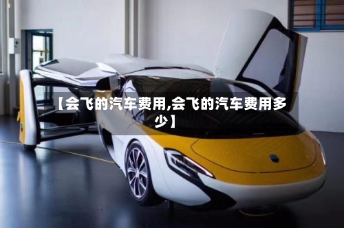 【会飞的汽车费用,会飞的汽车费用多少】