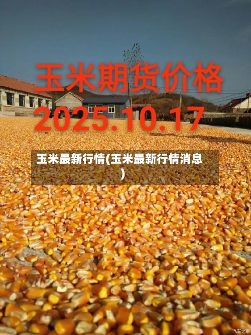 玉米最新行情(玉米最新行情消息)-第2张图片