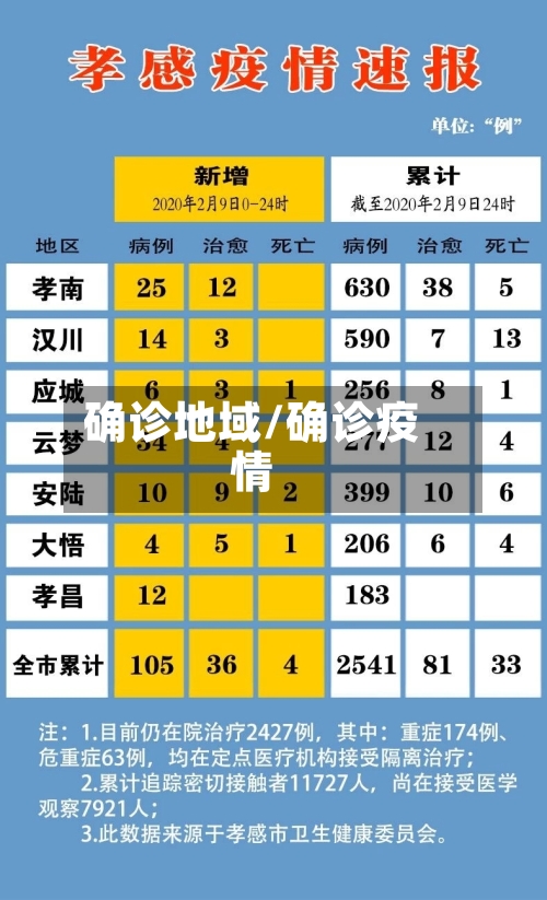 确诊地域/确诊疫情-第2张图片