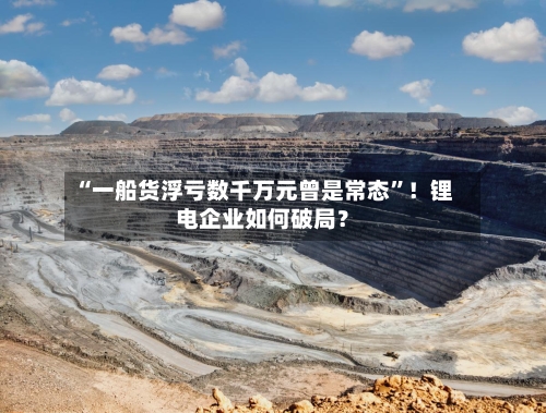 “一船货浮亏数千万元曾是常态”！锂电企业如何破局？-第2张图片
