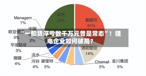 “一船货浮亏数千万元曾是常态”！锂电企业如何破局？-第3张图片