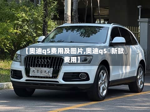 【奥迪q5费用及图片,奥迪q5乚新款费用】-第2张图片