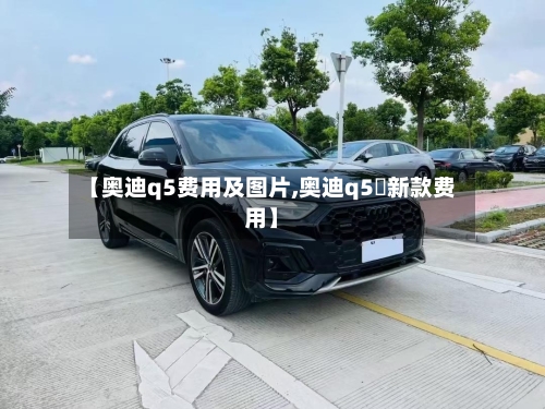 【奥迪q5费用及图片,奥迪q5乚新款费用】-第3张图片
