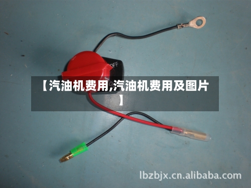 【汽油机费用,汽油机费用及图片】