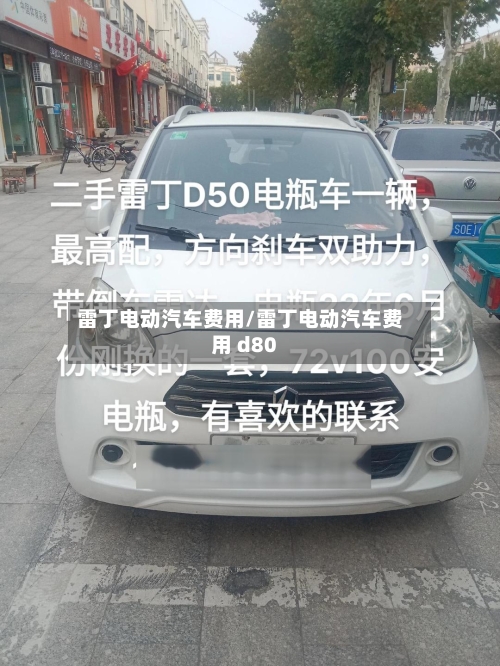 雷丁电动汽车费用/雷丁电动汽车费用 d80