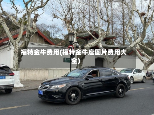 福特金牛费用(福特金牛座图片费用大全)