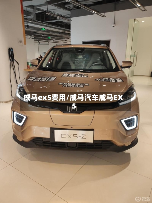 威马ex5费用/威马汽车威马EX5