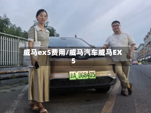 威马ex5费用/威马汽车威马EX5-第2张图片