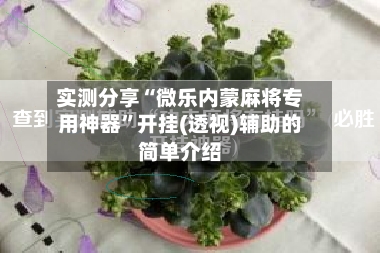 实测分享“微乐内蒙麻将专用神器”开挂(透视)辅助的简单介绍-第2张图片