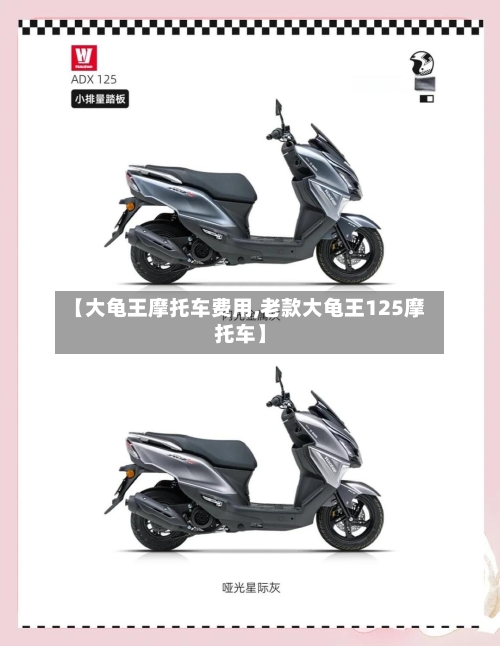 【大龟王摩托车费用,老款大龟王125摩托车】-第3张图片