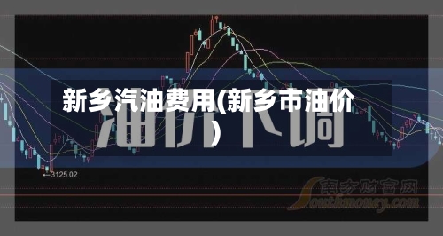 新乡汽油费用(新乡市油价)