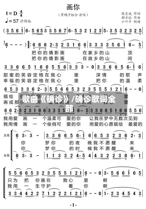 歌曲《确诊》/确诊歌词全部-第2张图片