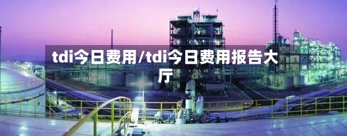 tdi今日费用/tdi今日费用报告大厅