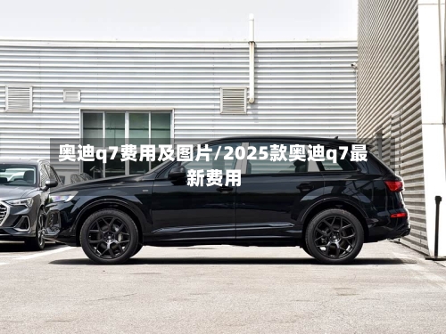 奥迪q7费用及图片/2025款奥迪q7最新费用-第3张图片