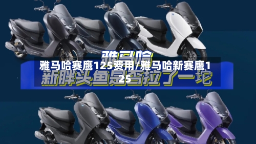 雅马哈赛鹰125费用/雅马哈新赛鹰125-第2张图片