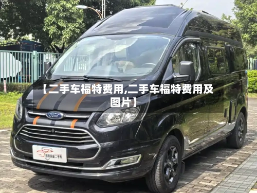 【二手车福特费用,二手车福特费用及图片】-第3张图片
