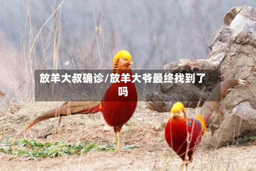 放羊大叔确诊/放羊大爷最终找到了吗-第3张图片