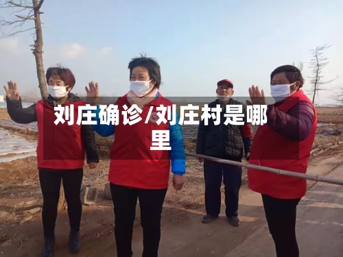 刘庄确诊/刘庄村是哪里-第3张图片