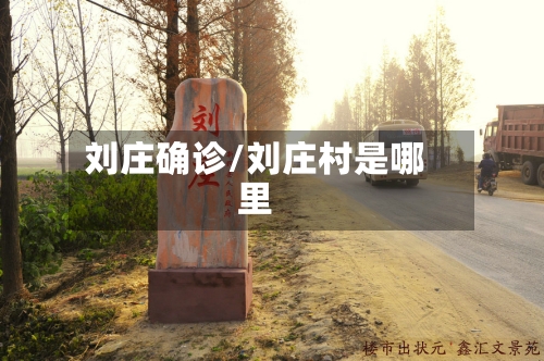 刘庄确诊/刘庄村是哪里