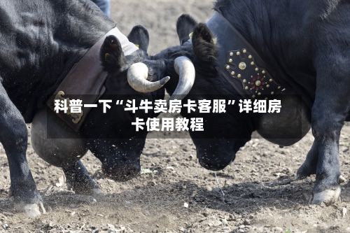 科普一下“斗牛卖房卡客服”详细房卡使用教程-第2张图片