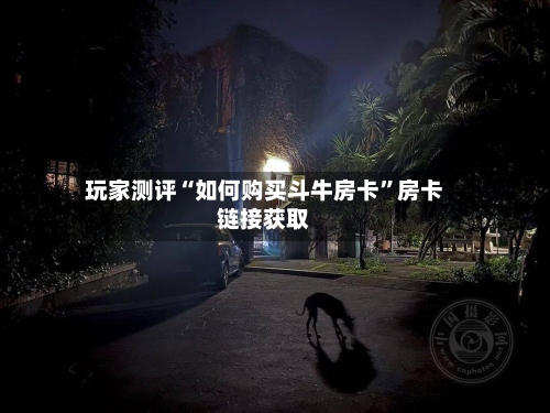 玩家测评“如何购买斗牛房卡	”房卡链接获取-第2张图片