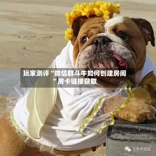 玩家测评“微信群斗牛如何创建房间”房卡链接获取