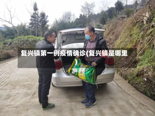 复兴镇第一例疫情确诊(复兴镇是哪里)-第3张图片