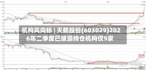 机构风向标 | 天鹅股份(603029)2026年二季度已披露持仓机构仅9家-第3张图片