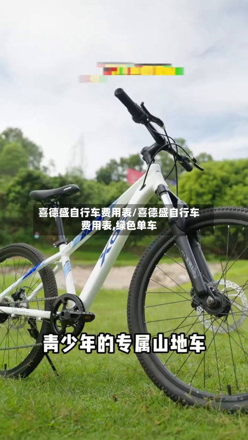 喜德盛自行车费用表/喜德盛自行车费用表,绿色单车