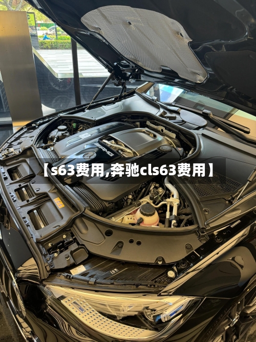 【s63费用,奔驰cls63费用】