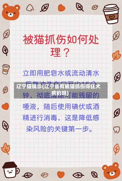 辽宁猫确诊(辽宁省有被猫抓伤得狂犬病的吗)
