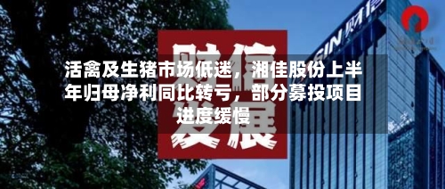 活禽及生猪市场低迷，湘佳股份上半年归母净利同比转亏，部分募投项目进度缓慢-第2张图片