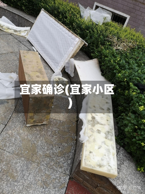 宜家确诊(宜家小区)-第2张图片