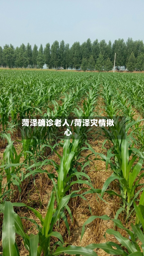 菏泽确诊老人/菏泽灾情揪心