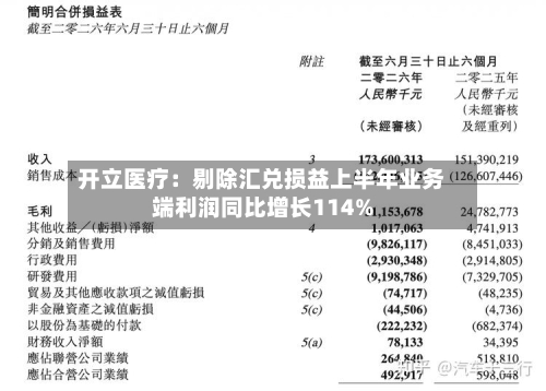 开立医疗：剔除汇兑损益上半年业务端利润同比增长114%