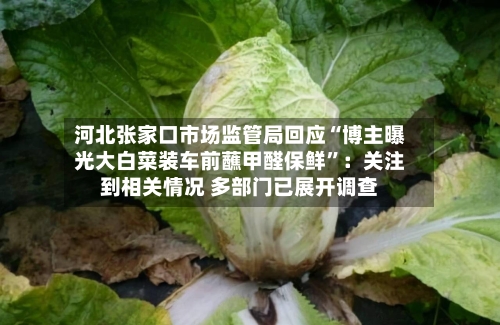 河北张家口市场监管局回应“博主曝光大白菜装车前蘸甲醛保鲜”：关注到相关情况 多部门已展开调查