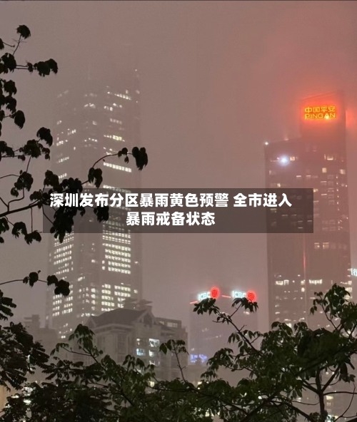 深圳发布分区暴雨黄色预警 全市进入暴雨戒备状态