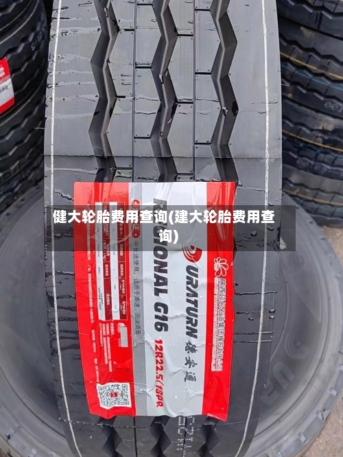 健大轮胎费用查询(建大轮胎费用查询)