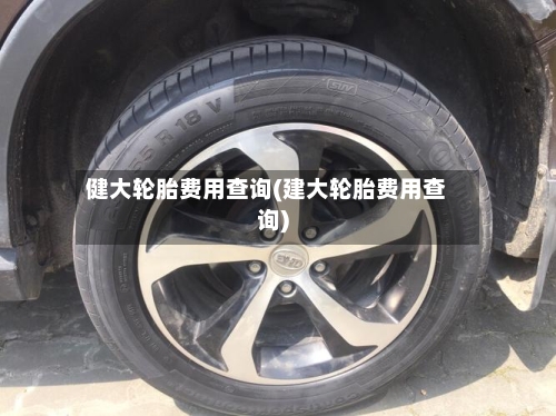 健大轮胎费用查询(建大轮胎费用查询)-第2张图片