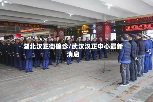 湖北汉正街确诊/武汉汉正中心最新消息-第3张图片