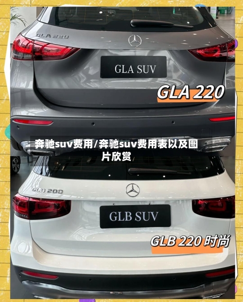 奔驰suv费用/奔驰suv费用表以及图片欣赏