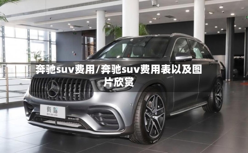 奔驰suv费用/奔驰suv费用表以及图片欣赏-第2张图片