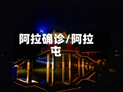 阿拉确诊/阿拉屯-第2张图片