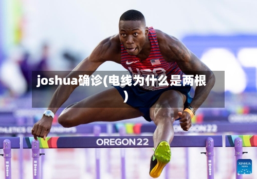 joshua确诊(电线为什么是两根)-第3张图片