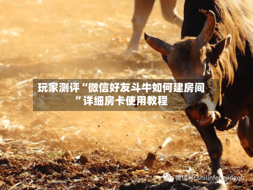 玩家测评“微信好友斗牛如何建房间	”详细房卡使用教程-第3张图片
