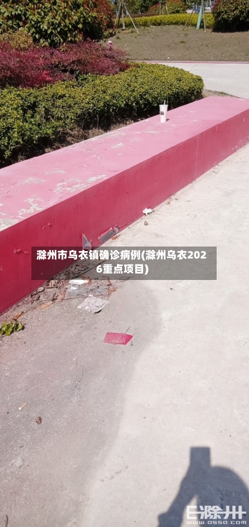 滁州市乌衣镇确诊病例(滁州乌衣2026重点项目)-第2张图片