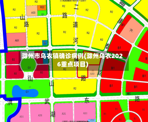 滁州市乌衣镇确诊病例(滁州乌衣2026重点项目)-第3张图片