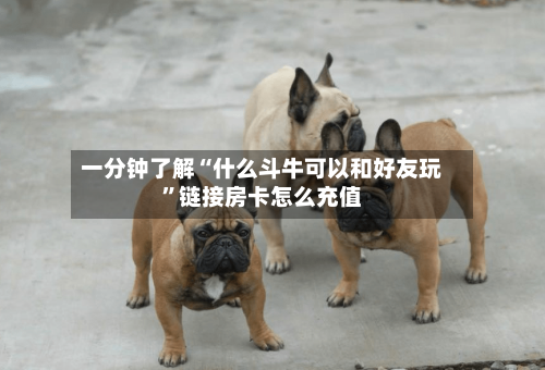 一分钟了解“什么斗牛可以和好友玩”链接房卡怎么充值-第2张图片