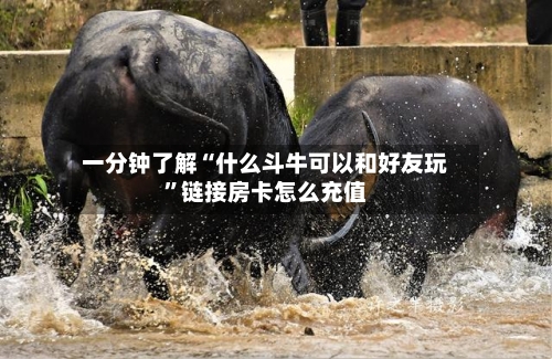 一分钟了解“什么斗牛可以和好友玩”链接房卡怎么充值